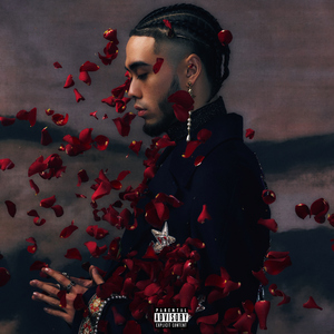 美女脱内衣免费视频
