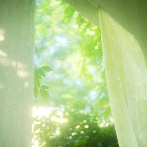 美女脱内衣免费视频
